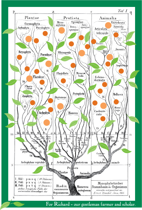 Richard's Tree