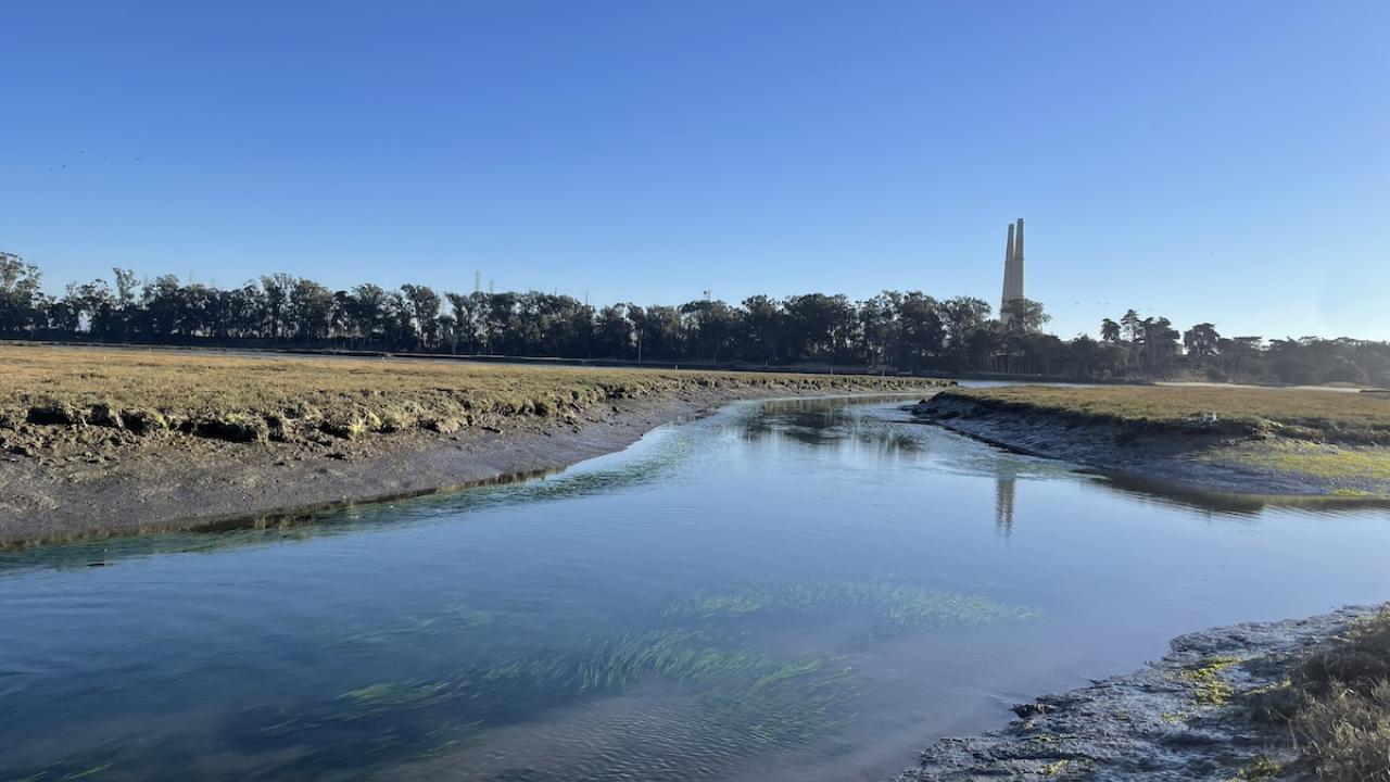 A moss landing power plant sits behind the water