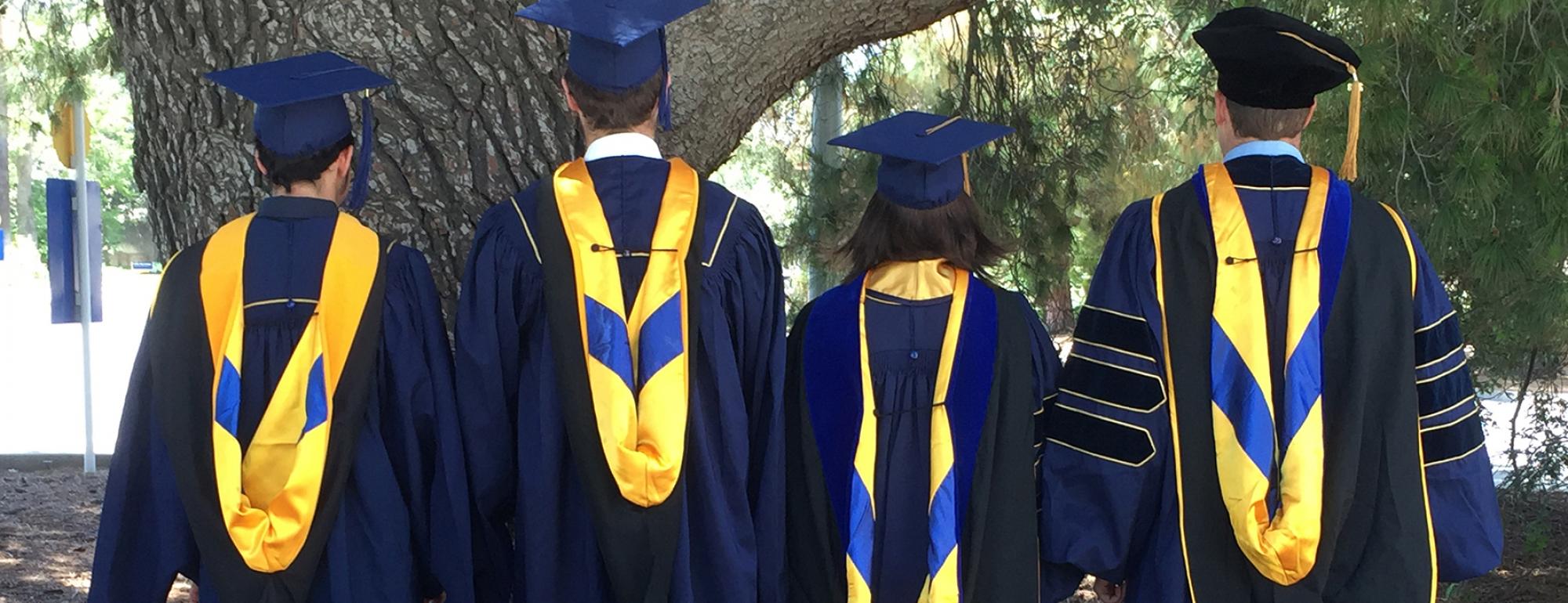 Commencement hoods