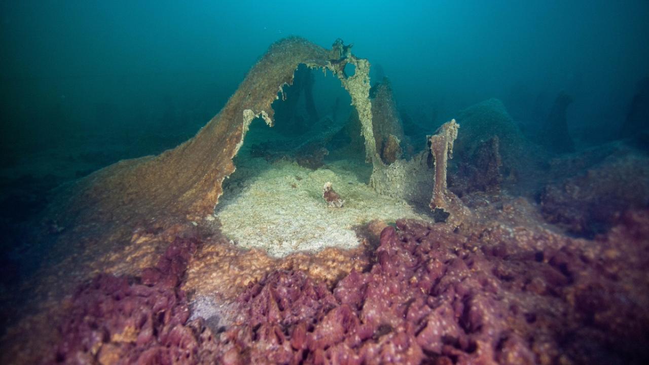 Microbial mats on the floor of Lake Fryxell form different morphologies with depth. (Photo by Abbey Dias/National Science Foundation)