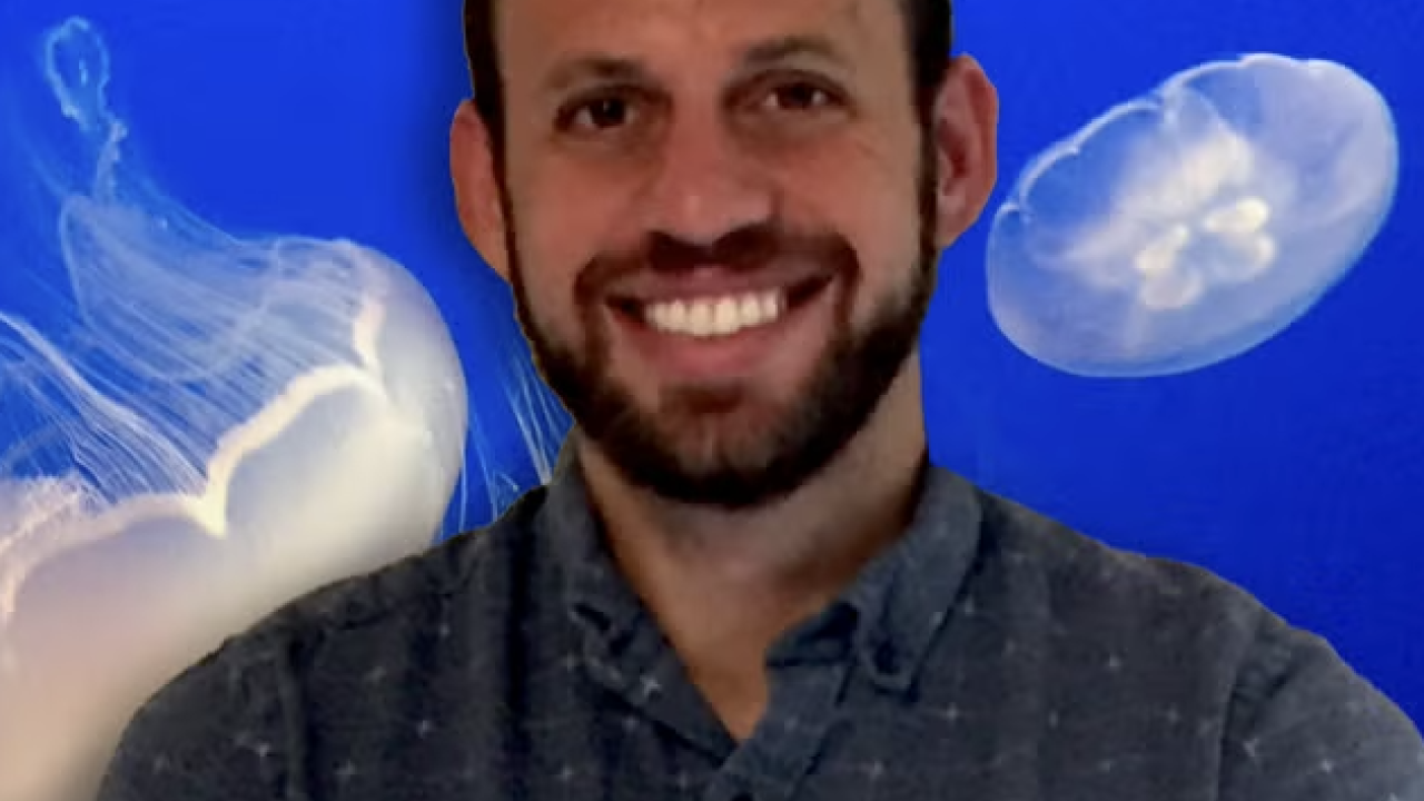David Gold standing in front of a tank filled with swimming jellyfish