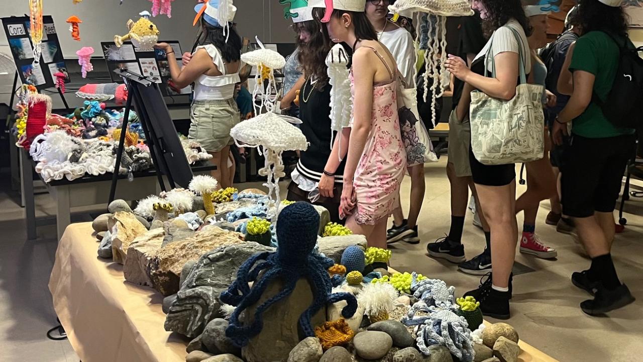 Visitors walking by the ecosystem crochet display