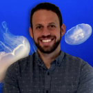 David Gold standing in front of a tank filled with swimming jellyfish